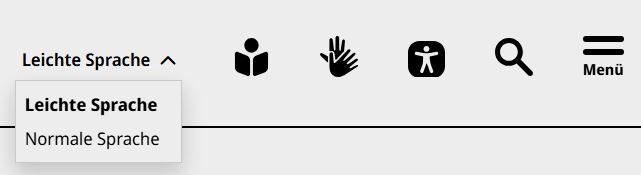 Sprach-Auswahl auf der Internet-Seite vom Ludwigsburg Museum